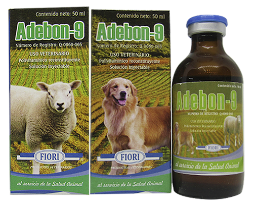 ADEBON-9
