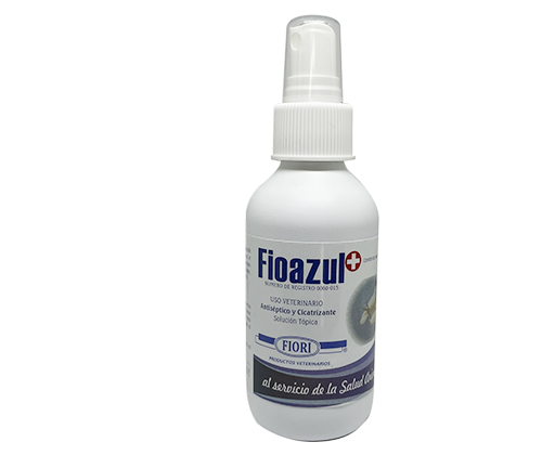 FIOAZUL