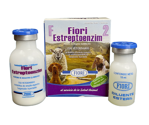fiori estreptoenzim