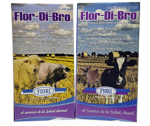 flor-di-bro
