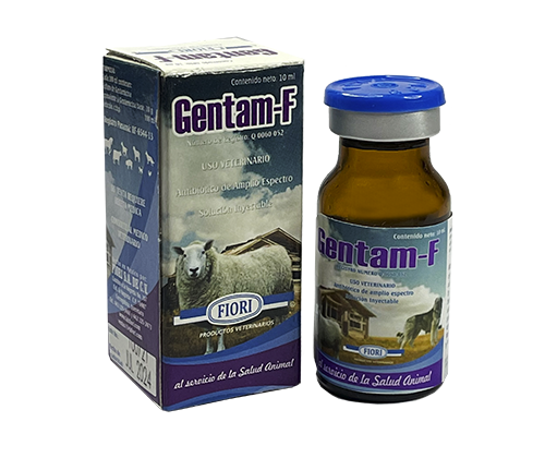 gentam