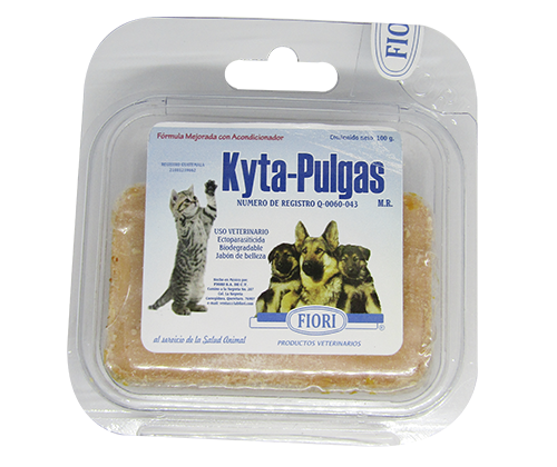 kyta pulgas